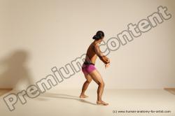 Elmer - Traditional Korean Art